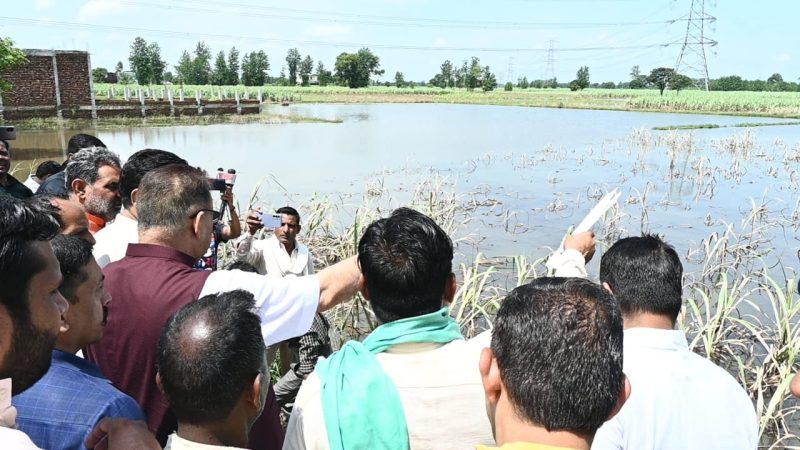हरिद्वार के लक्सर, खानपुर, मंगलौर में बारिश के कारण किसानों की फसलों को हुए नुकसान का स्थलीय निरीक्षण करते कृषि मंत्री ।