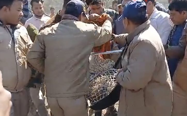 मलेथा में इंसानों पर हमला करने वाले गुलदार को मारी गई गोली, गुलदार की मौत पर लपेटे में आए विधायक,  वन मंत्री ने दिए जांच के आदेश,जनता की रक्षा और आत्मरक्षा में वन कर्मियों ने मारी गोली।