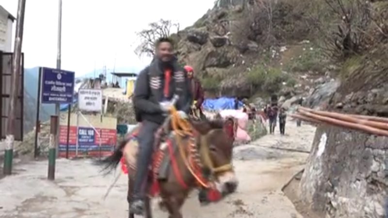 खुलासा, इन्फेलुएनजा से नही हुई घोड़े खच्चरों की मौत ।