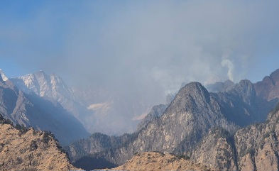 फूलों की घाटी रेंज के जंगलों में फिर धधकी आग, धुएं की चादर में लिपटा क्षेत्र।