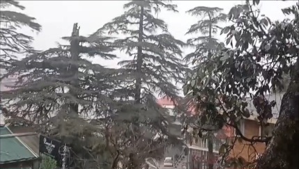 मसूरी में बदला मौसम का मिज़ाज, हल्की बारिश और बर्फ के फुहारों से बढ़ी ठंड, खिले पर्यटकों के चेहरे।