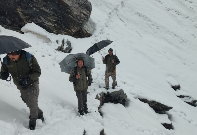 सफेद मखमली बर्फ और कड़ाके की ठंड के बीच वन विभाग का सख्त पहरा जारी।